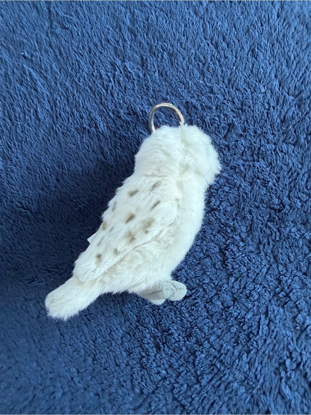 Hedwig - Wizarding World of Harry Potter